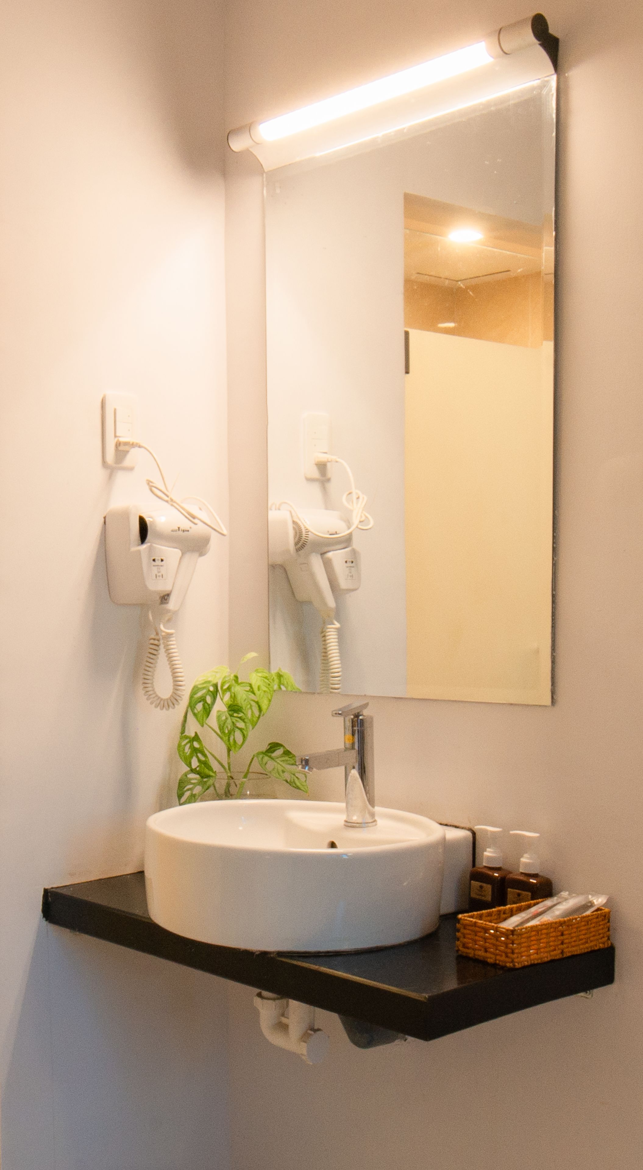 Un baño con un lavamanos redondo, un espejo, un secador de pelo y una planta.