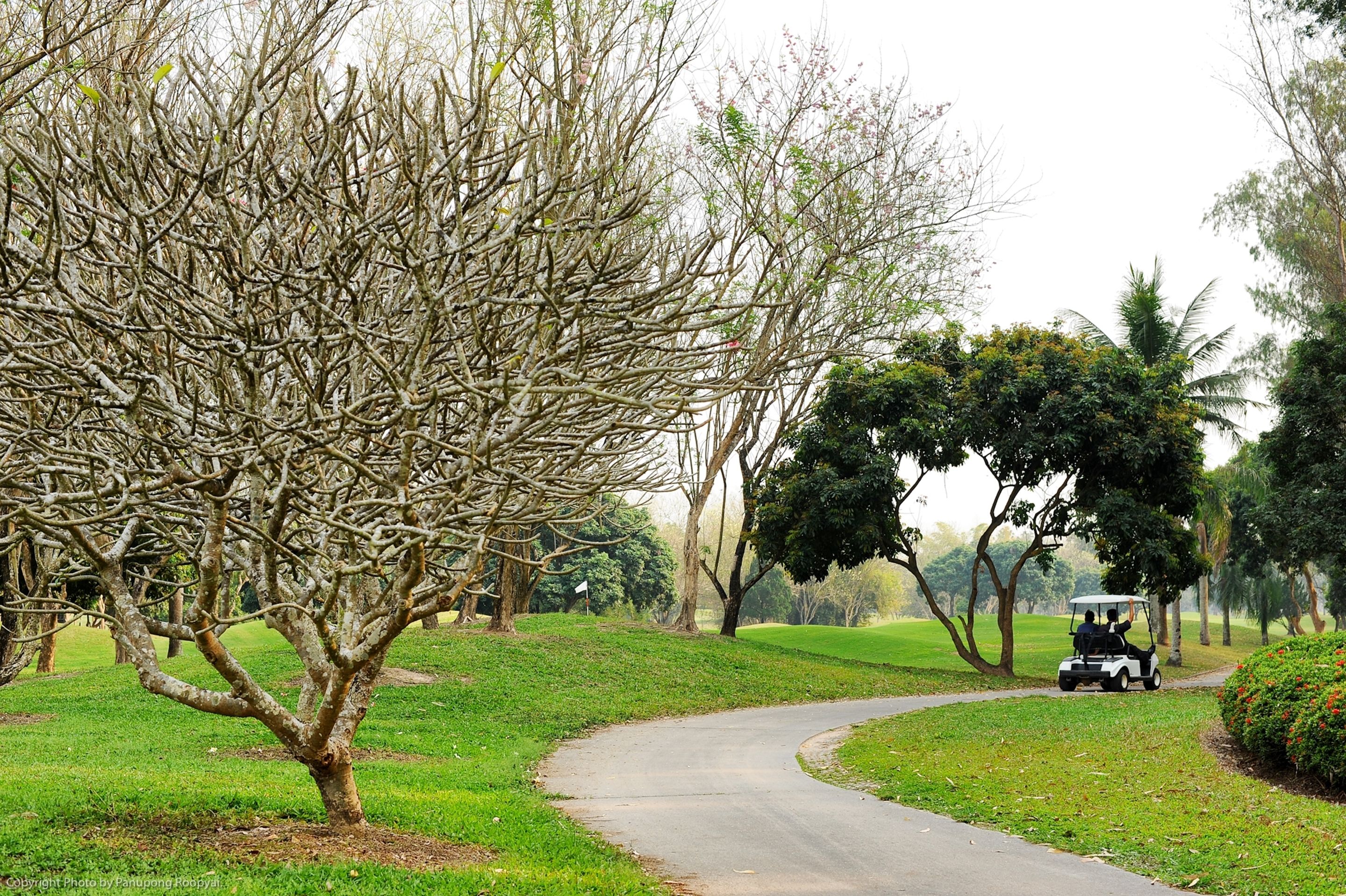 Um campo de golfe com um percurso sinuoso, um carrinho de golfe e diversas árvores.