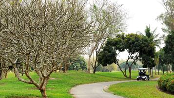 Um campo de golfe com um percurso sinuoso, um carrinho de golfe e diversas árvores.