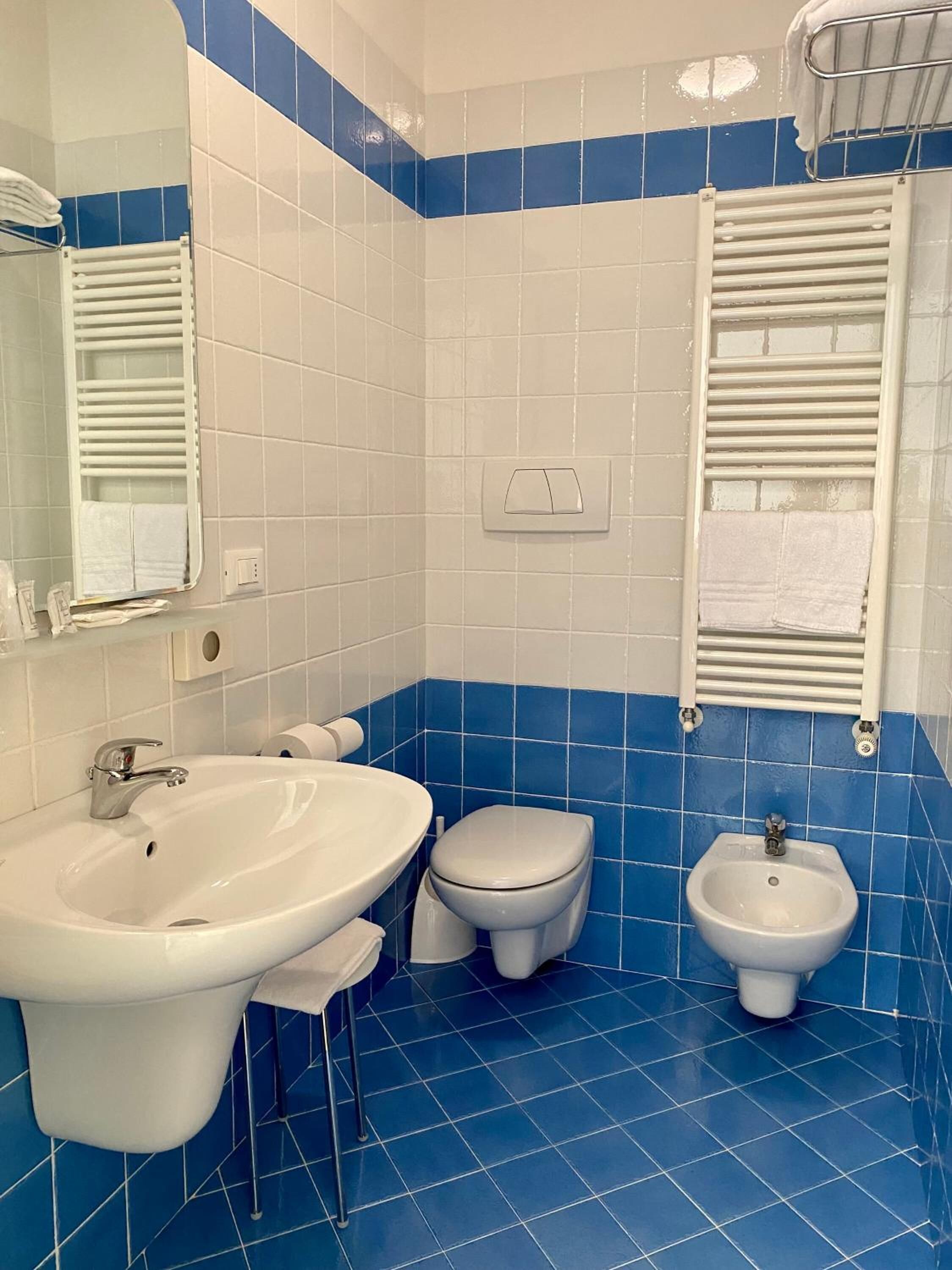 shower, free toiletries, hair dryer, bidet