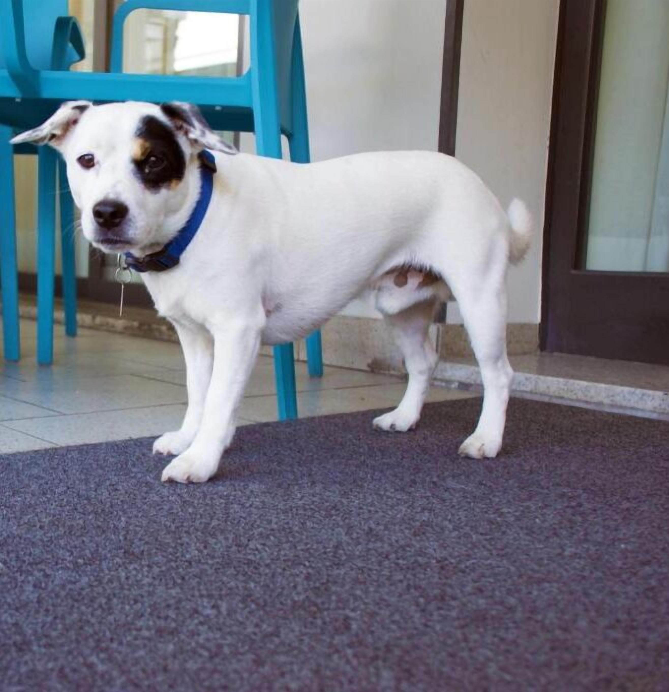 in-room safe, desk, free cots/infant beds, rollaway beds