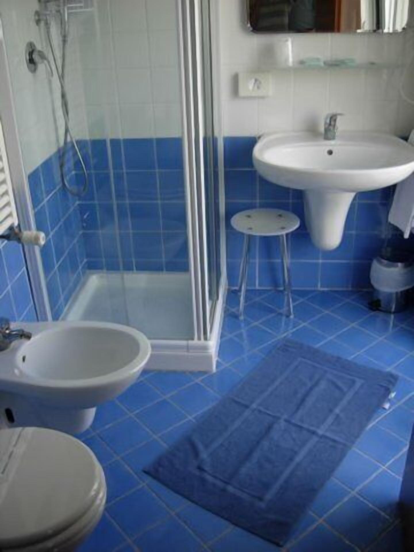 shower, free toiletries, hair dryer, bidet