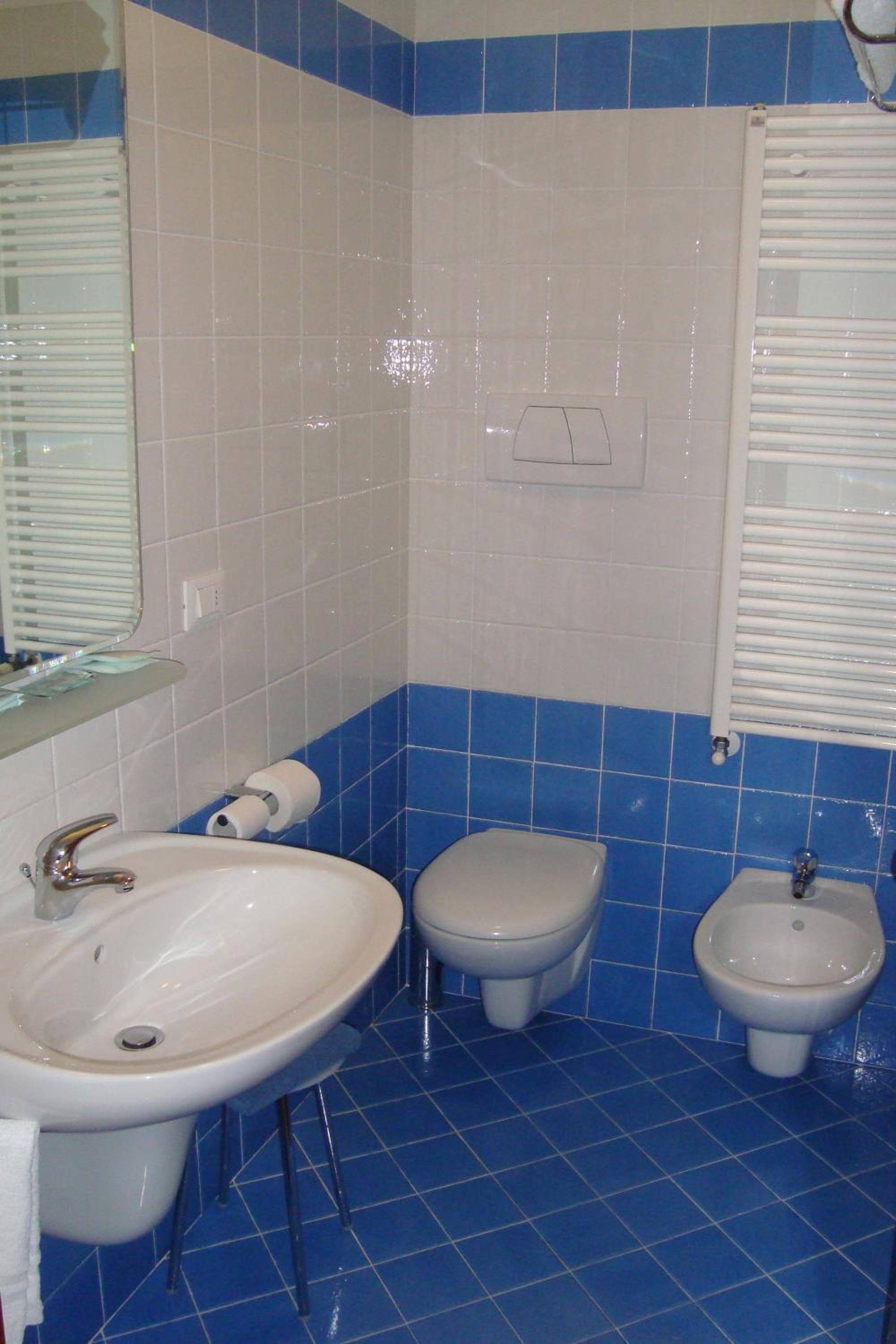 shower, free toiletries, hair dryer, bidet