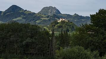 Un château perché sur une colline, entouré d’une forêt et de montagnes.