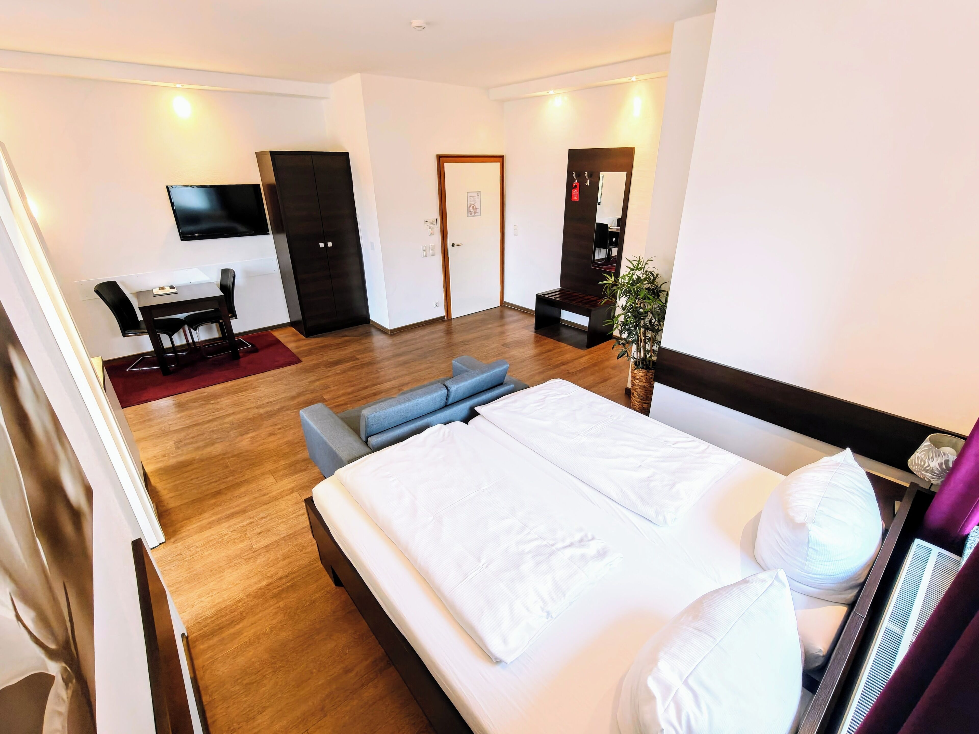 Habitación de hotel con una cama grande, un escritorio con silla, televisor, armario y planta.