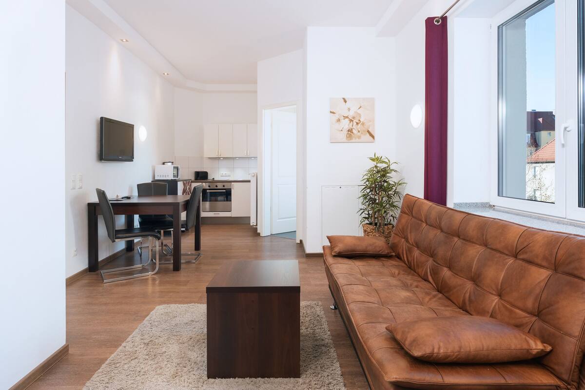 basic apartment | living area | flat-screen tv