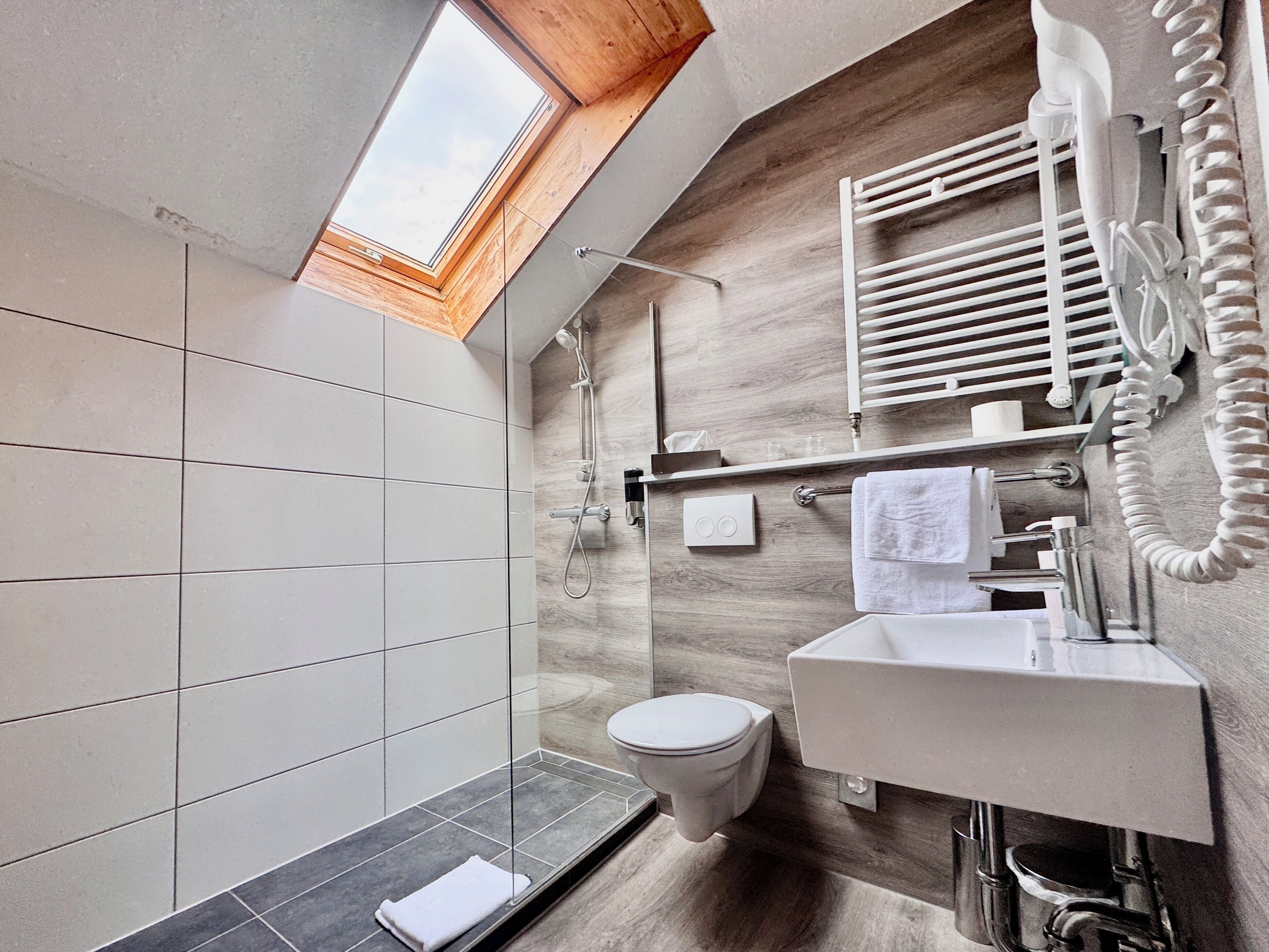 A modern bathroom with a skylight, a toilet, a shower, and a sink.
