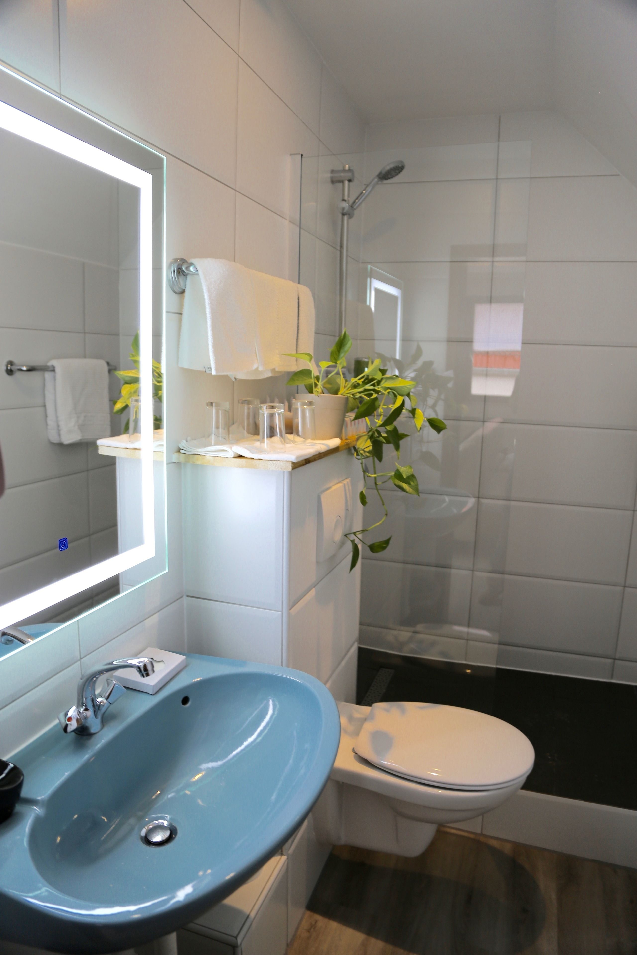 Ein Badezimmer mit blauem Waschbecken, weißer Toilette und einer Duschkabine aus Glas.