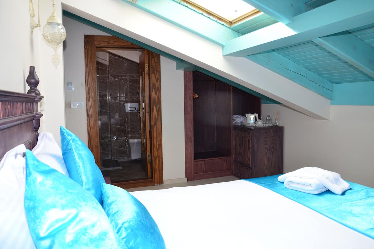 A bedroom with a skylight, a wooden wardrobe, and a bathroom with a glass door.