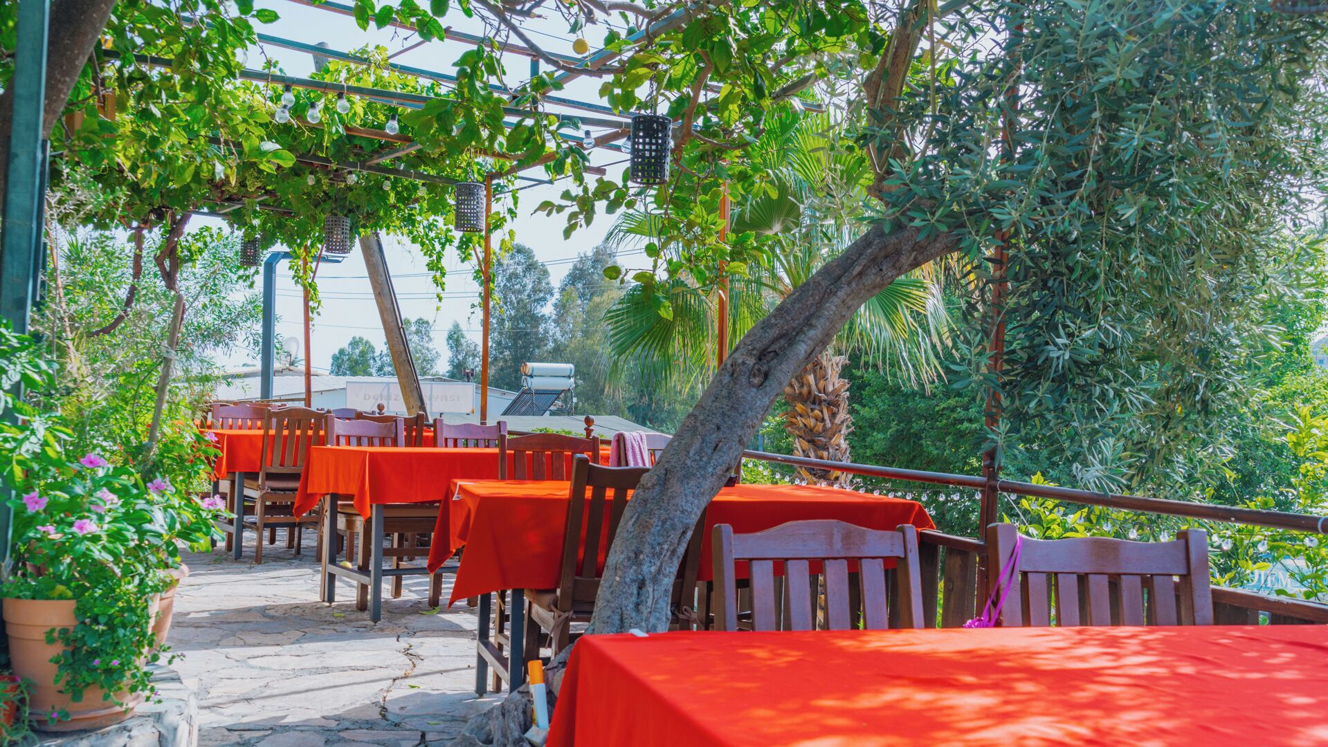 An outdoor dining area with tables covered in red tablecloths, surrounded by lush greenery and trees.