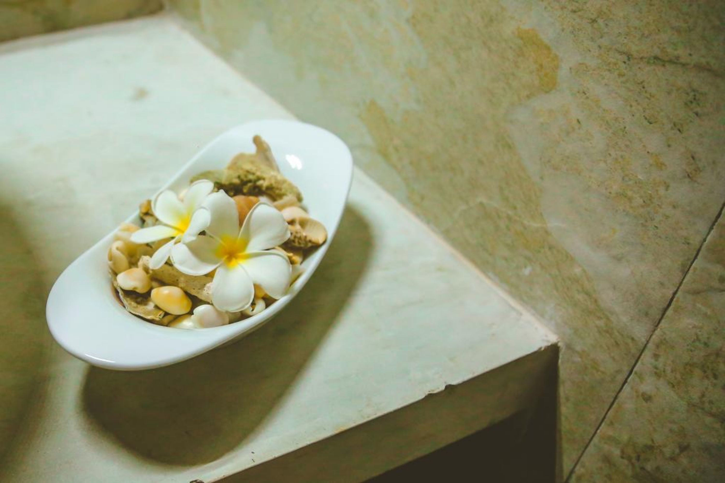 A white ceramic bowl with a flower and nuts on a white surface.