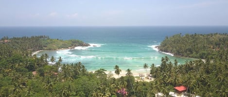 Vista costera con playa, palmeras y cielo despejado.