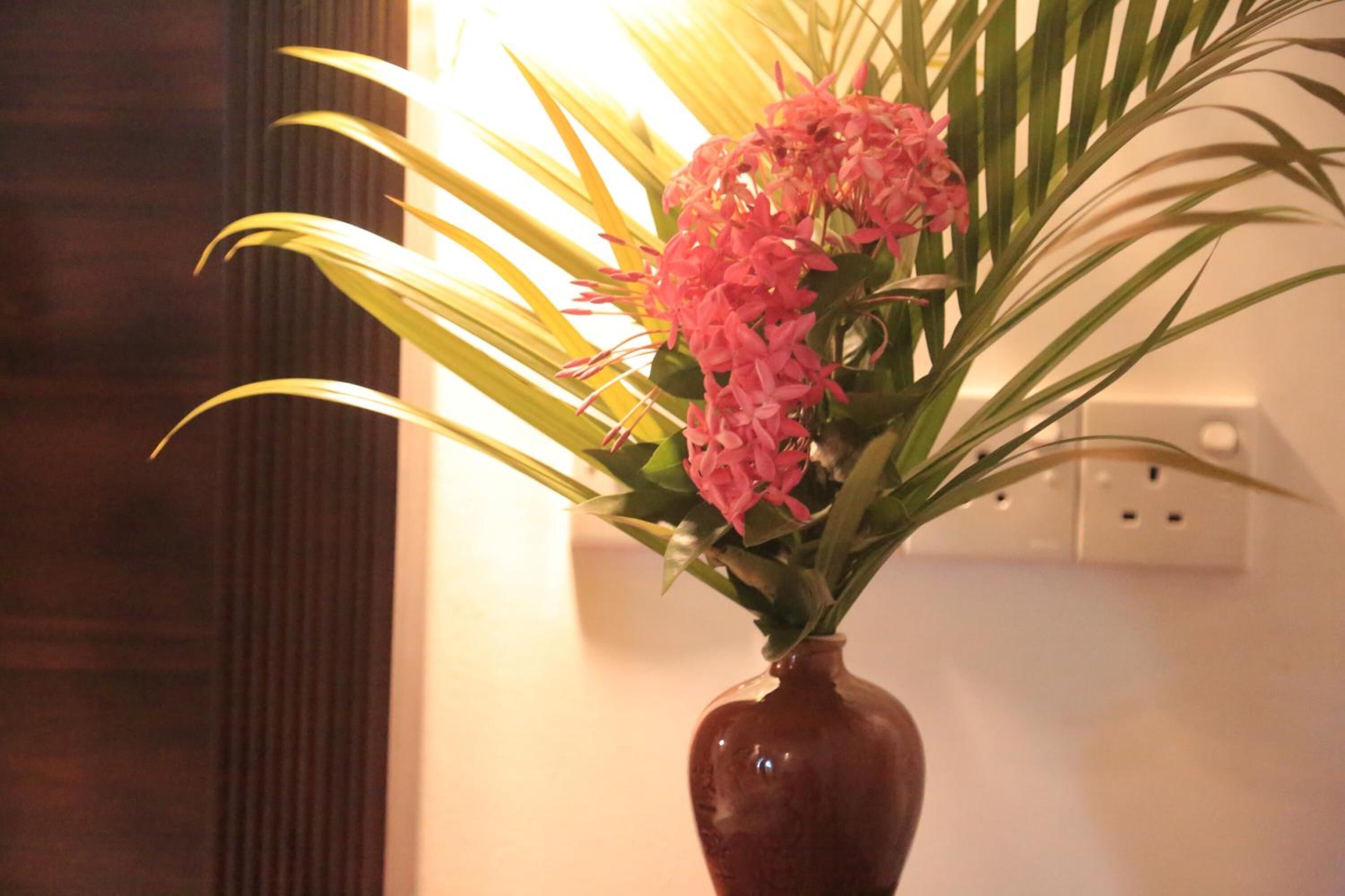 A vase with pink flowers and green leaves on a table.