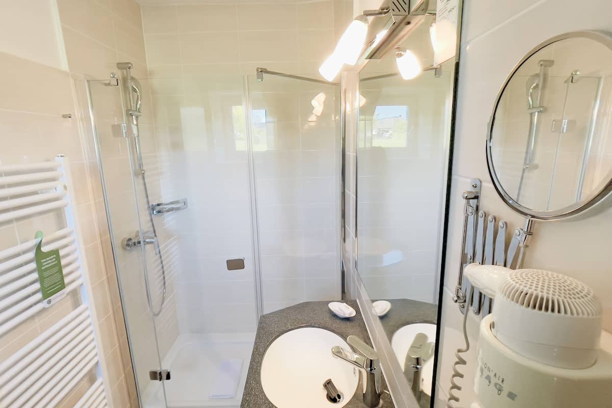 traditional double room | bathroom | shower, free toiletries, hair dryer, towels
