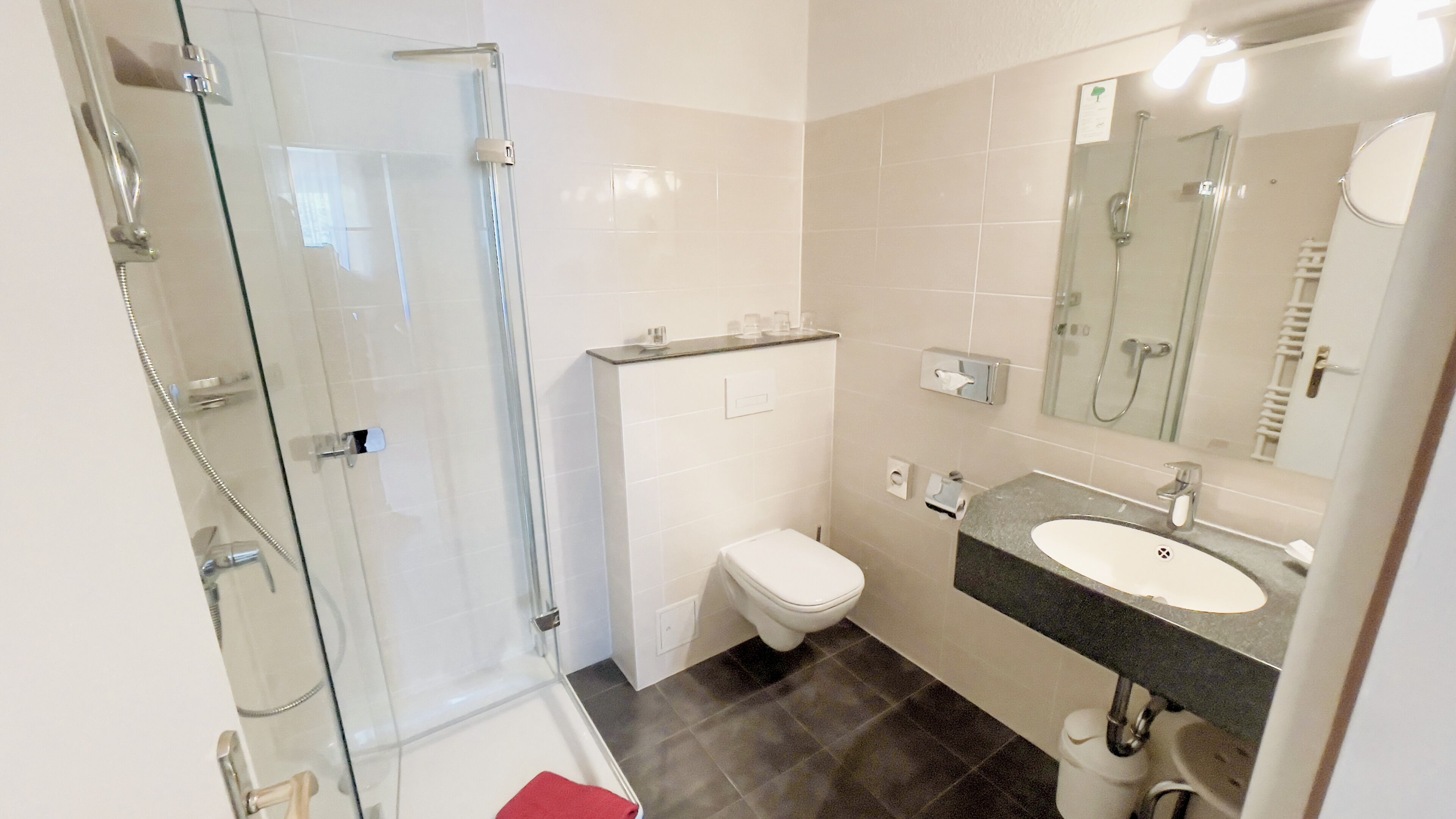 A modern bathroom with a glass shower enclosure, a white toilet, and a sink with a mirror above it.