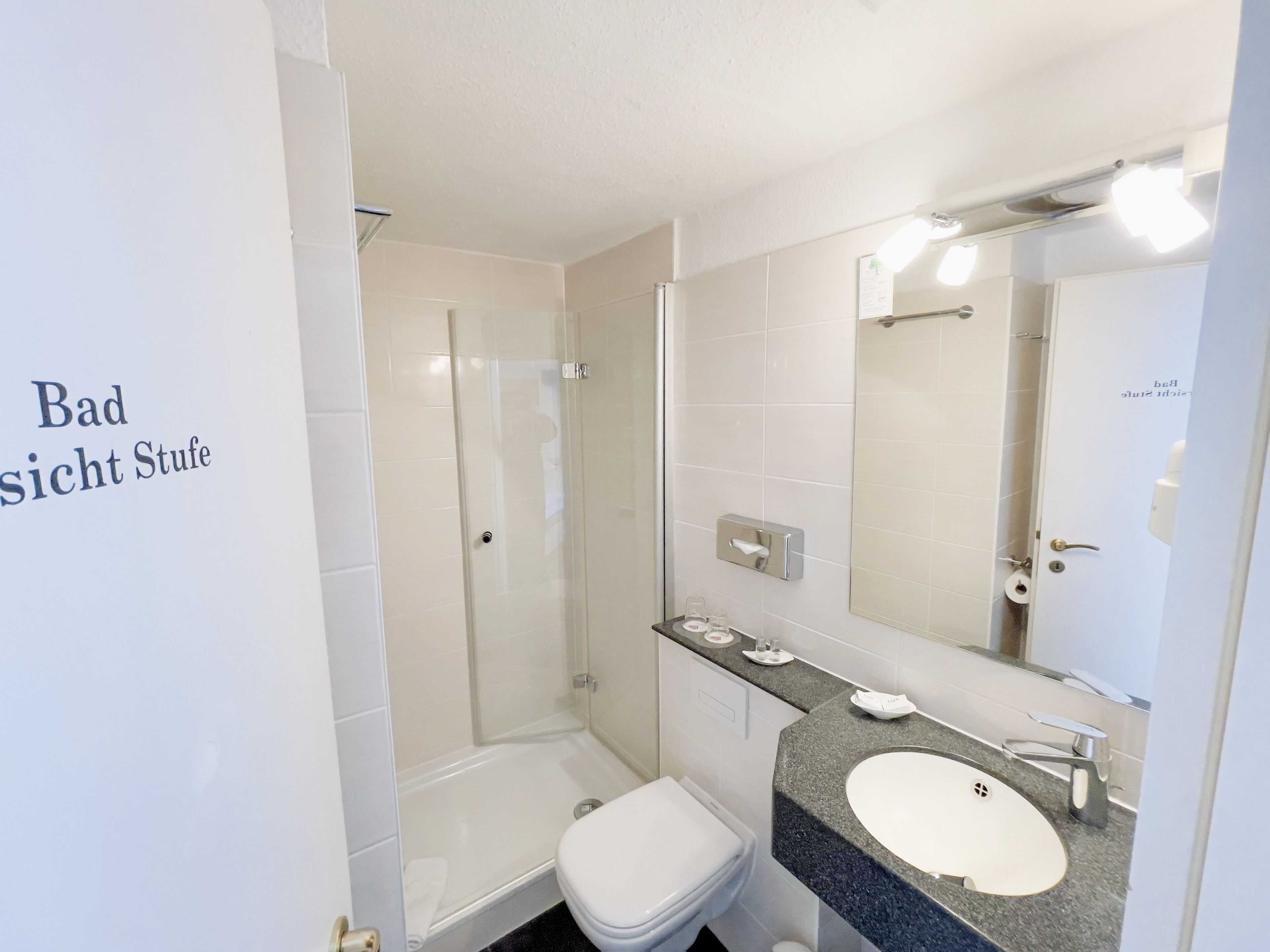 A modern bathroom with a glass-enclosed shower, a white toilet, and a granite countertop sink.