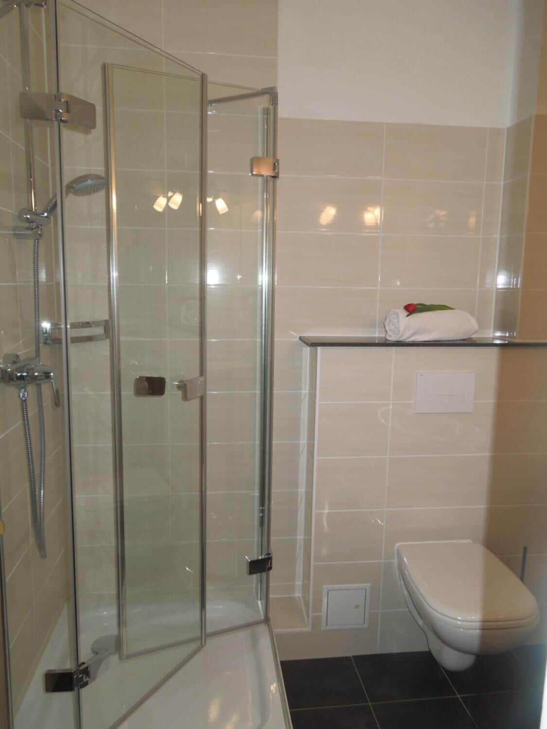 Eine begehbare Duschkabine mit Handbrause, eine weiße Toilette und ein Handtuch auf einem Regal.