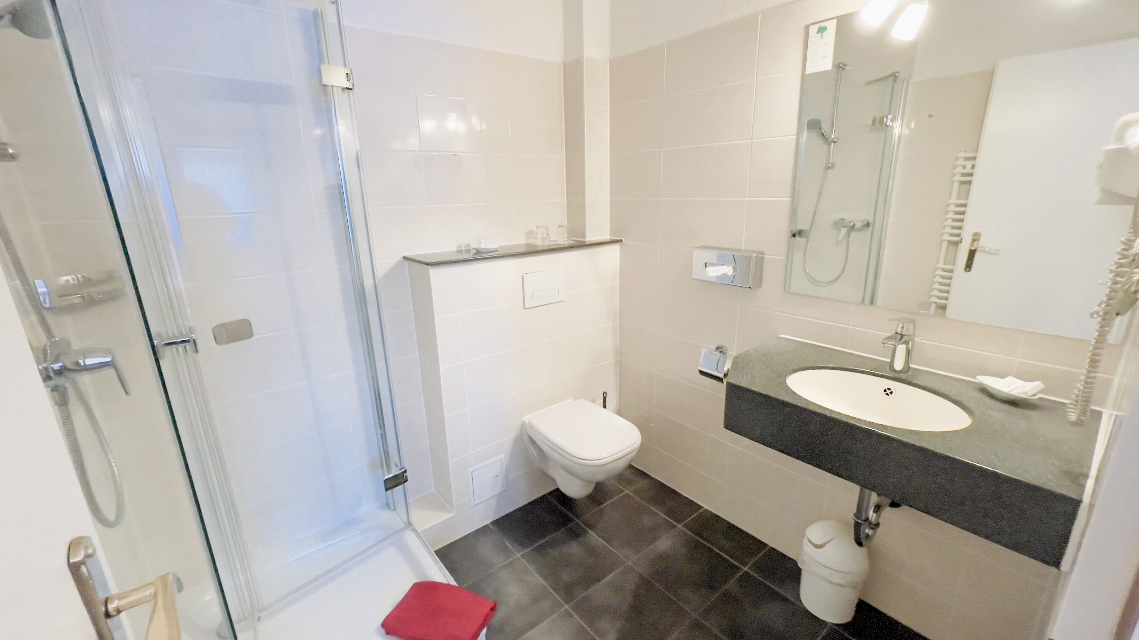 A modern bathroom with a glass shower enclosure, a toilet, and a sink with a mirror above it.