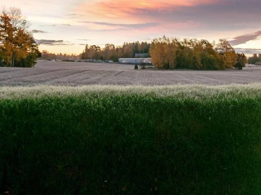 Udendørsområde