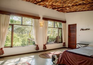 Chambre Deluxe | Vue de la chambre