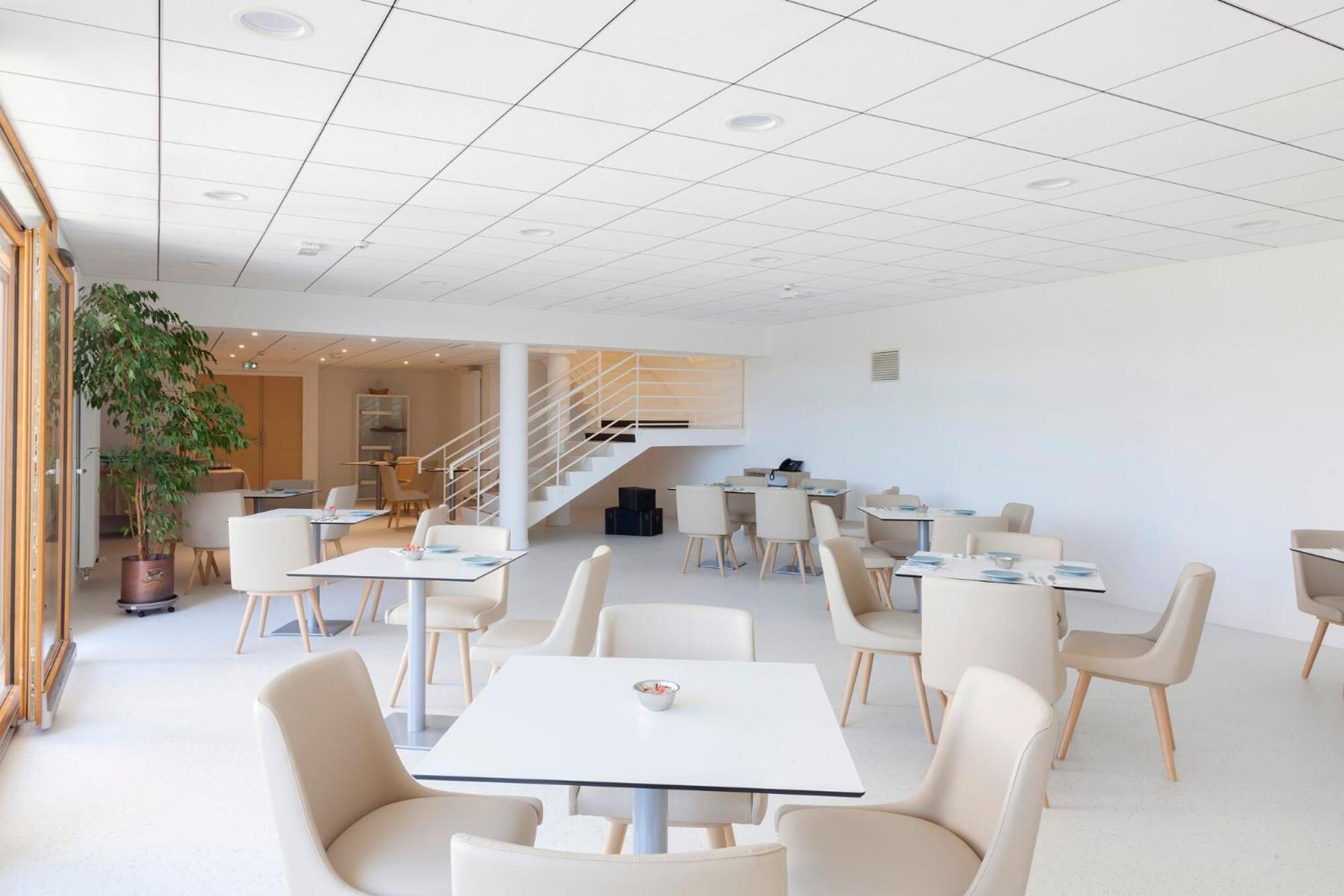 Un espace de salle à manger spacieux et moderne, avec plusieurs tables et chaises, un escalier et une grande plante en pot.