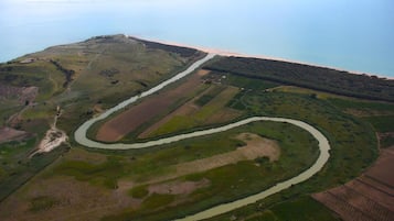 Eksteriør