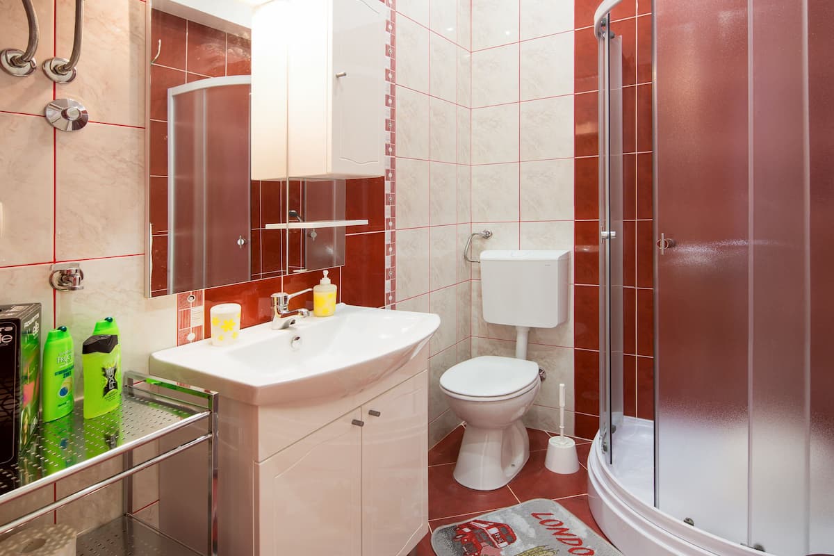 shower, free toiletries, hair dryer, towels