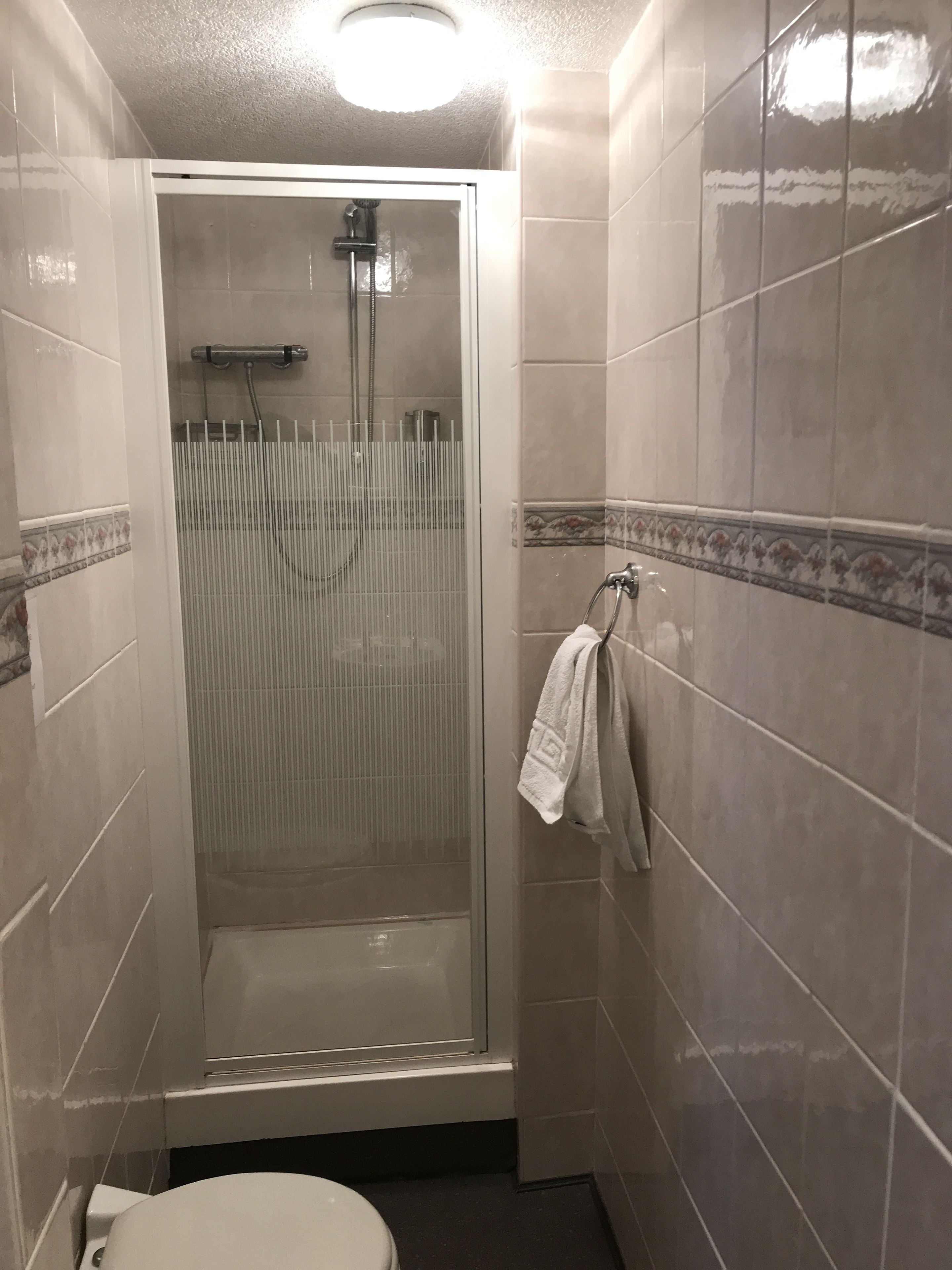 A small bathroom with a glass-enclosed shower, a toilet, and a towel rack.