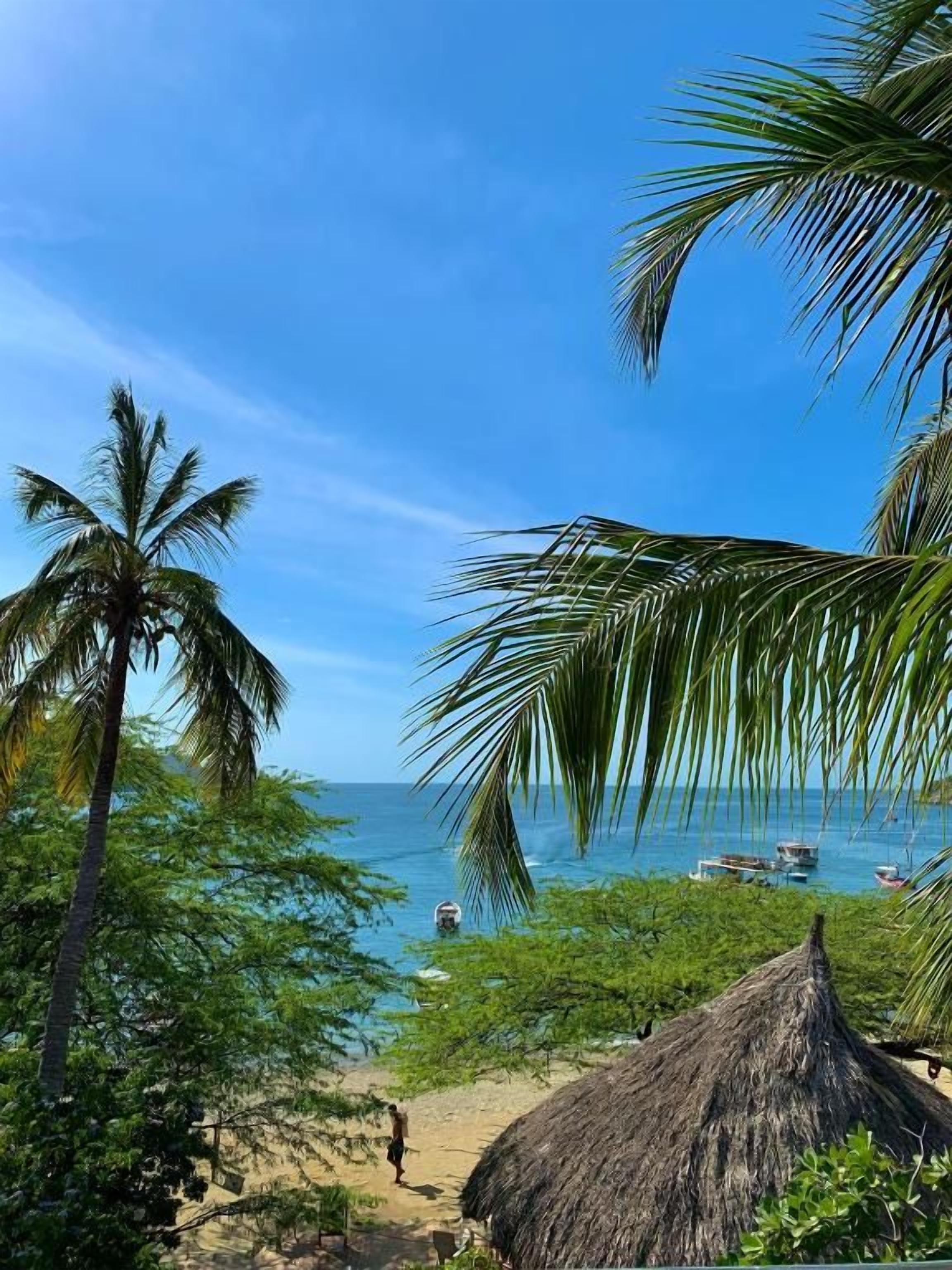 A beach with palm trees, a thatched-roof hut, and boats in the water.