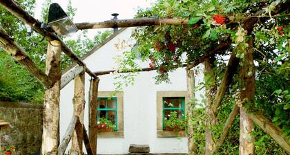 Garden Suite Edinburgh