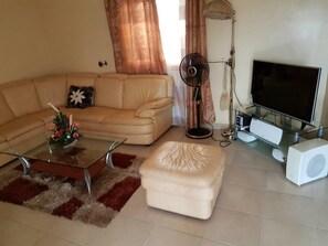 Flat-screen TV, pay movies