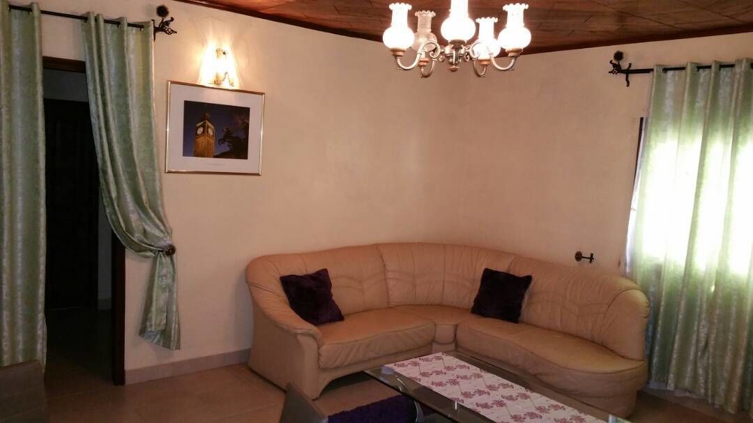 A living room with a beige sofa, two dark cushions, a framed picture on the wall, a chandelier, and green curtains.