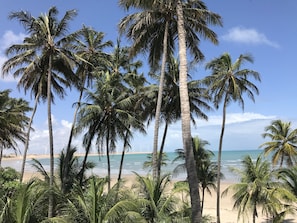 Ubicación a pie de playa