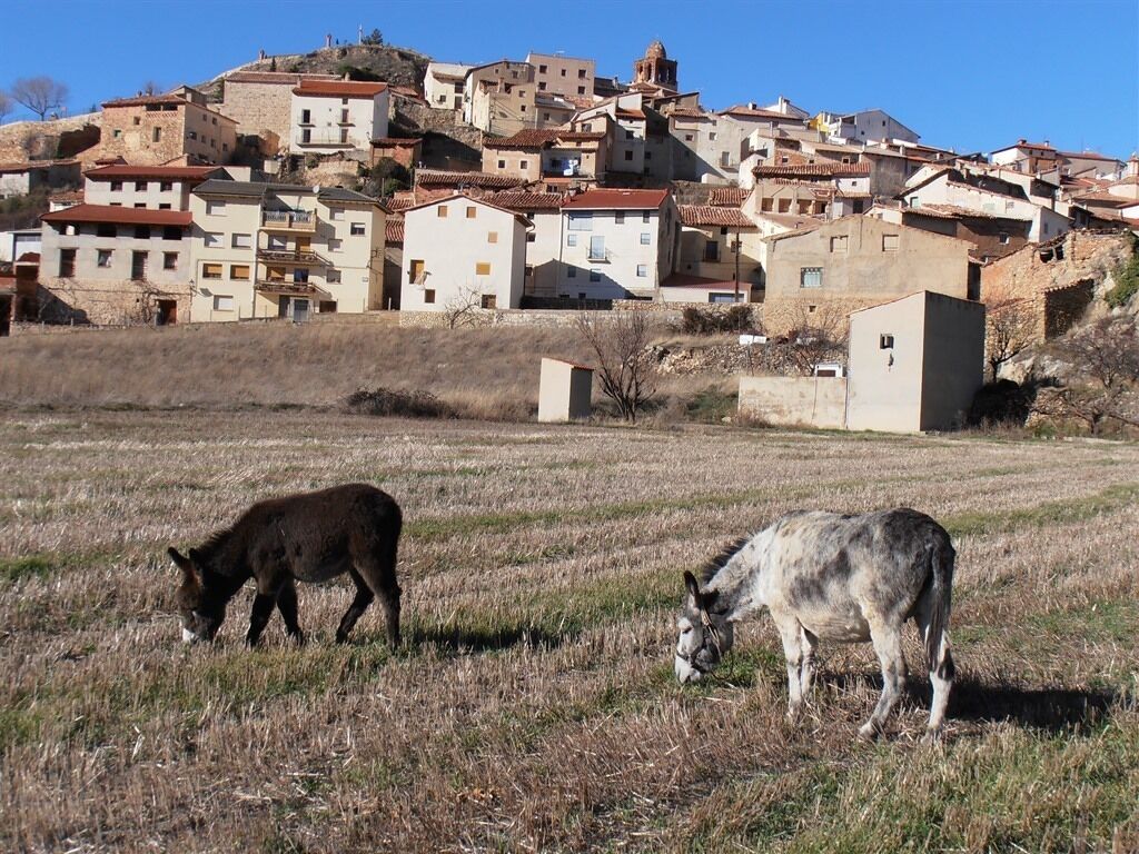 Căn hộ, phòng tắm riêng, quang cảnh núi (Los Pajarcicos- El Torero) | Ngoại thất