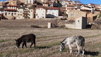 Căn hộ, phòng tắm riêng, quang cảnh núi (Los Pajarcicos- El Torero) | Ngoại thất