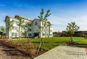 Garden - Nadia Pension (Jeju City)