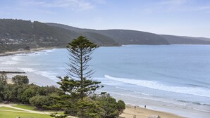 A coastal landscape with a prominent pine tree in the foreground, a beach, and a hilly backdrop. - Lorne Beachfront Accommodation (Lorne)