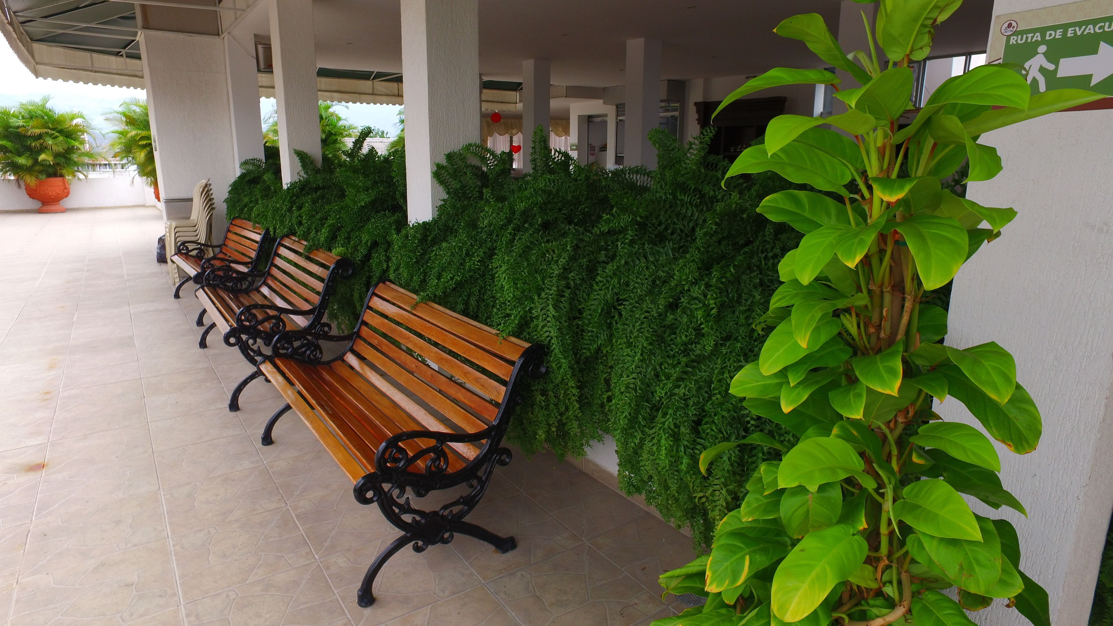 Un espacio al aire libre cubierto con tres bancos de madera y una pared verde.