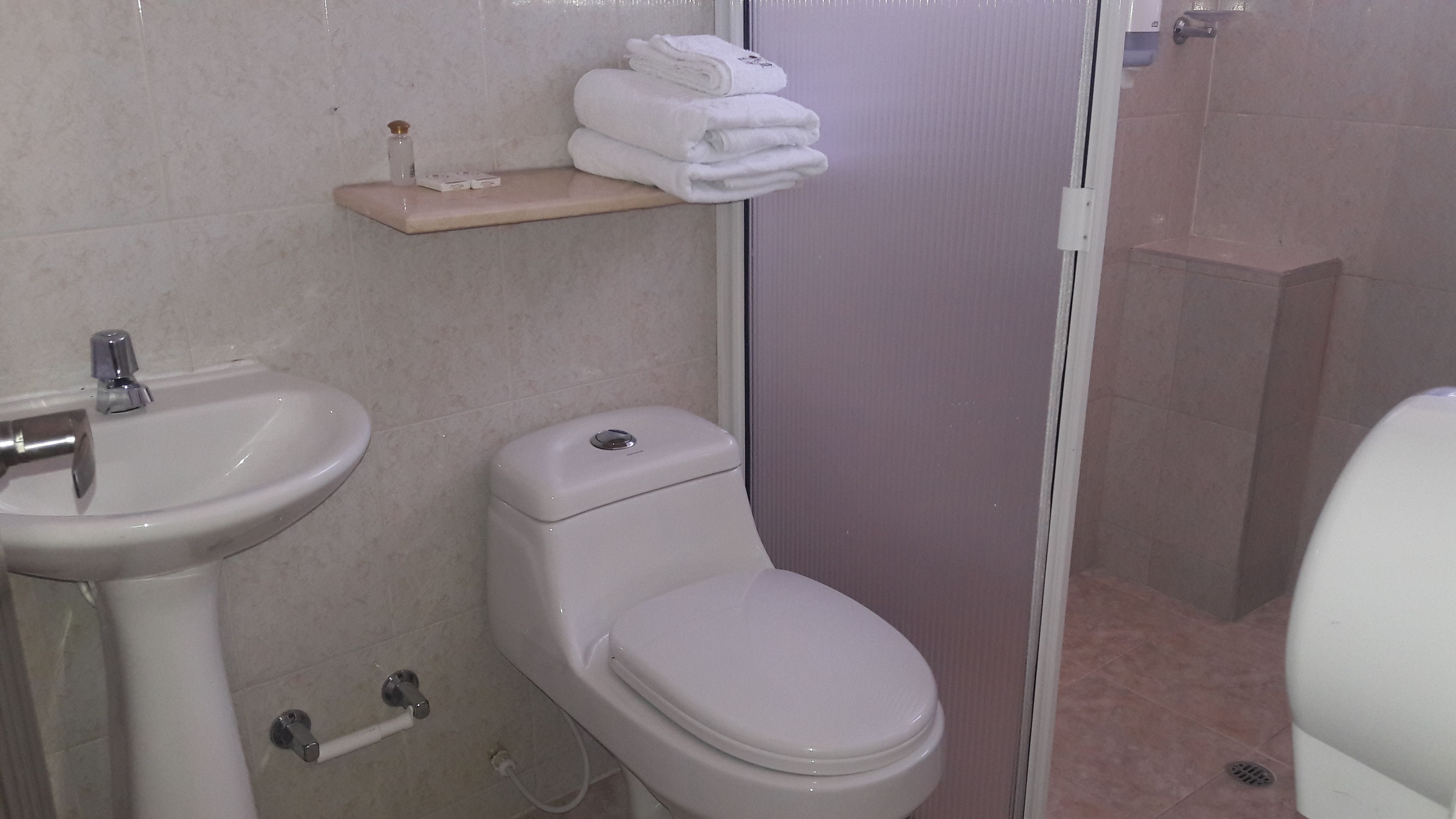 Un baño con lavamanos, inodoro y zona de ducha.