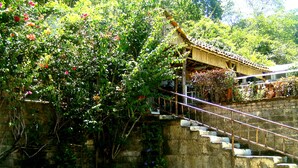 A stone staircase leading to a traditional building with a tiled roof, surrounded by lush greenery and flowering plants. - Hostel Tadeo San Juan del Sur (San Juan del Sur)