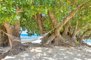 A hammock between trees on a sandy beach with a view of the sea. - Tides Reach Resort (Taveuni Island East)