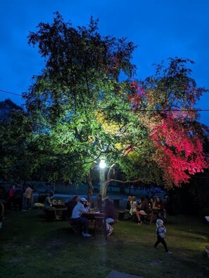 Garden - Weldborough Hotel (Weldborough)