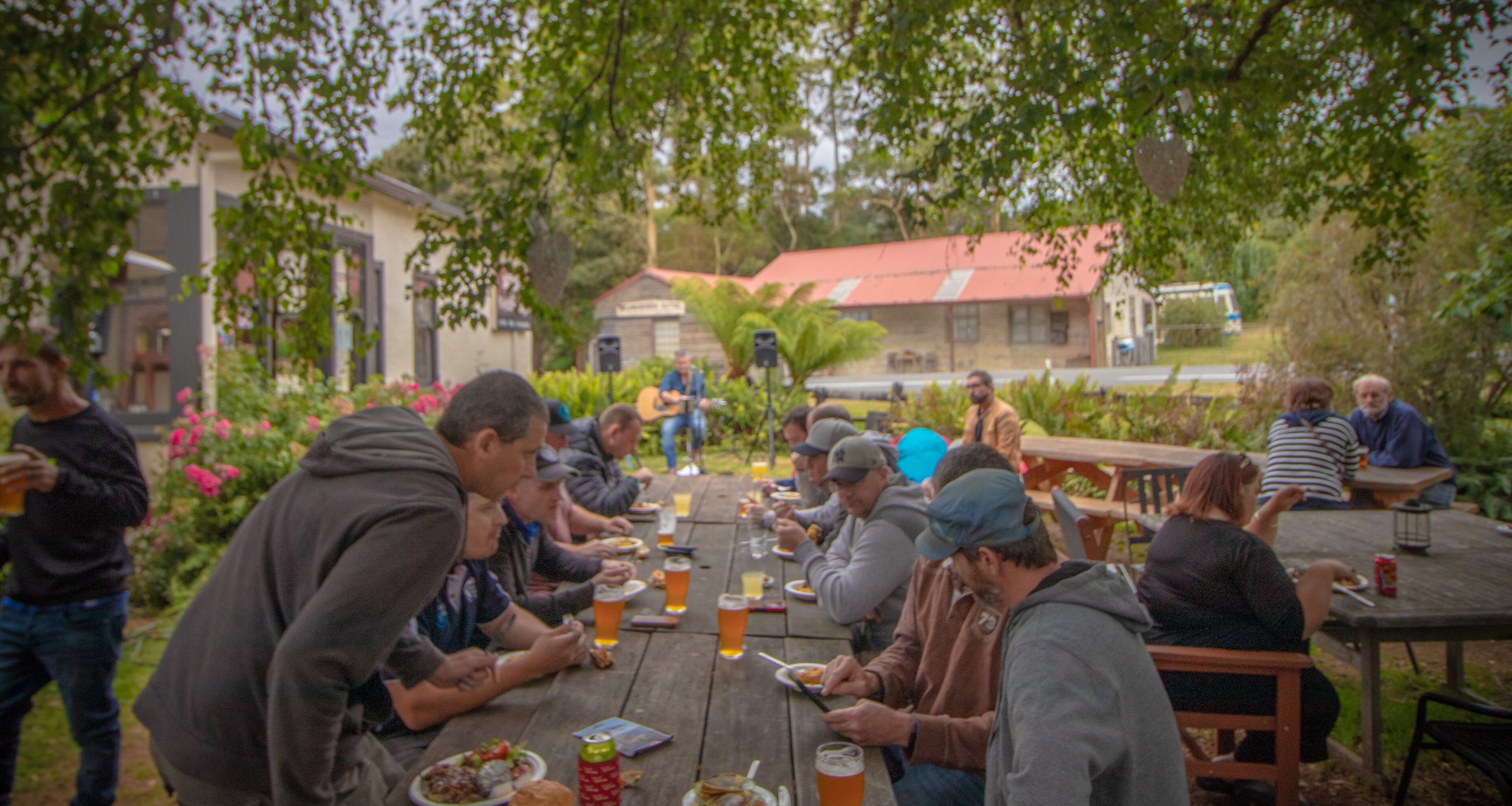 lunch and dinner served