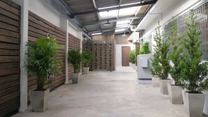 Un pasillo con plantas en macetas, un revestimiento de madera y techo metálico.