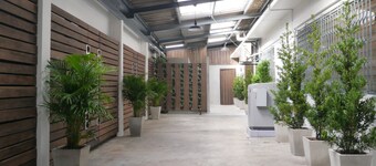 Baan Mai Guest House