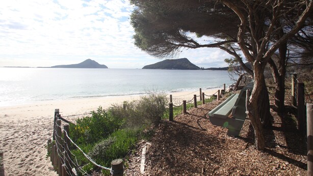 A beach with a wooden fence, a bench, and a tree. - Beachfront Shoal Bay (Nelson Bay)