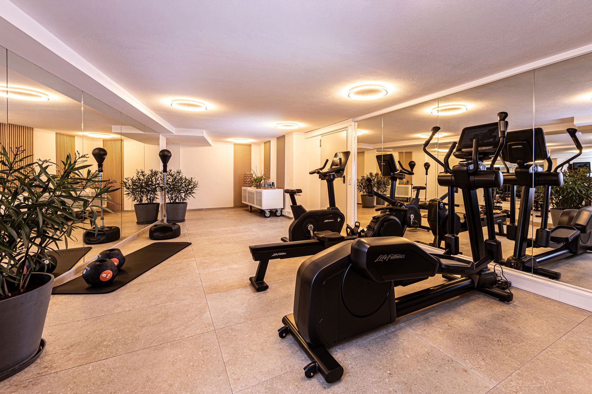 Un gimnasio bien equipado con máquinas de cardio, pesas libres y un espejo grande.
