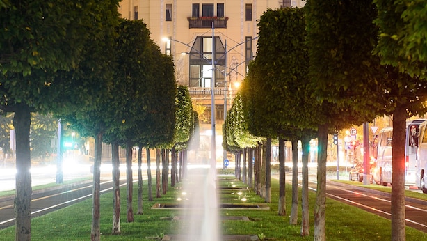 Une vue nocturne d’un bâtiment avec une fontaine au premier plan, entouré d’arbres régulièrement espacés et d’une rue bien éclairée en arrière-plan.