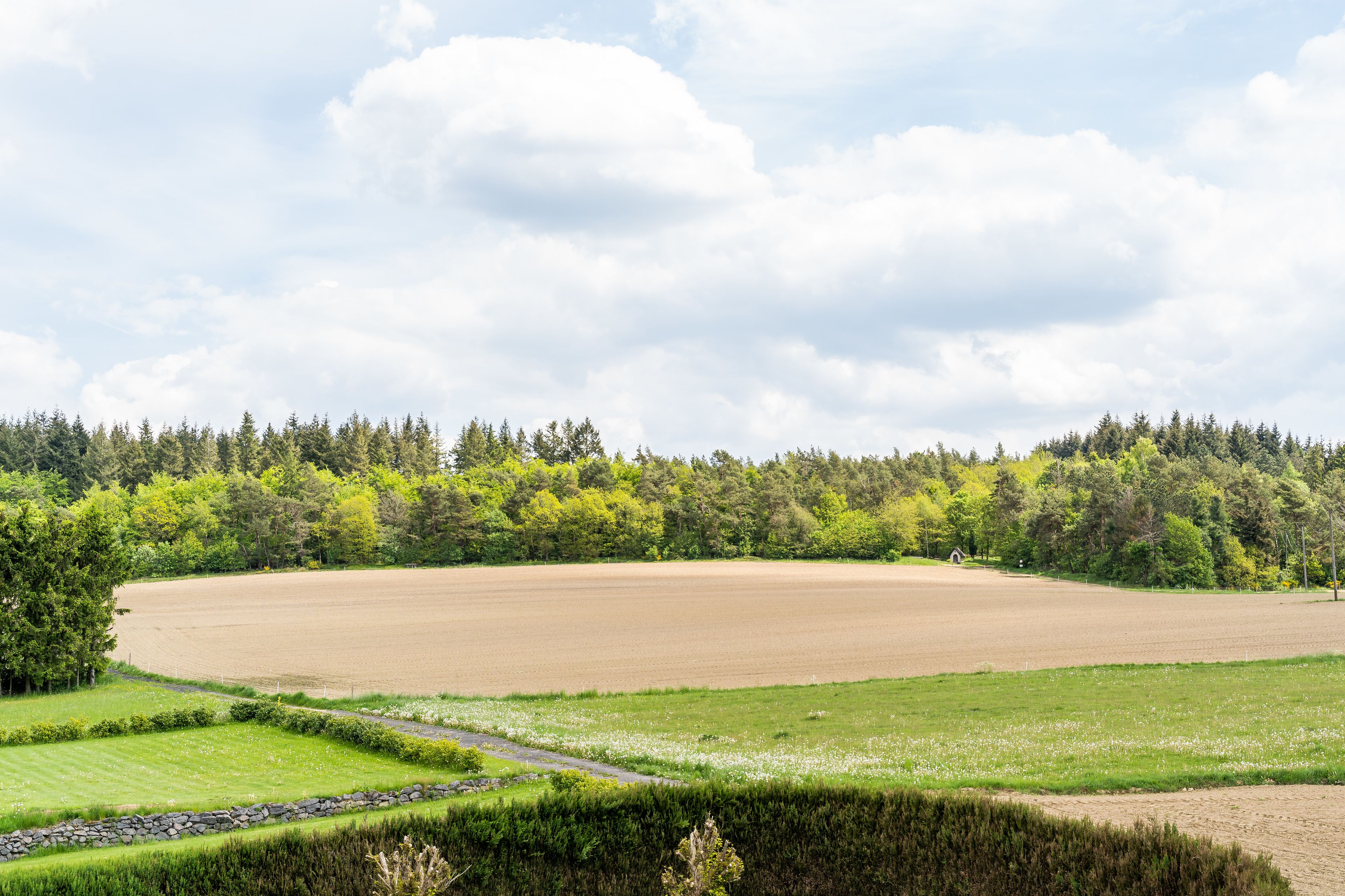 double room, balcony | garden view