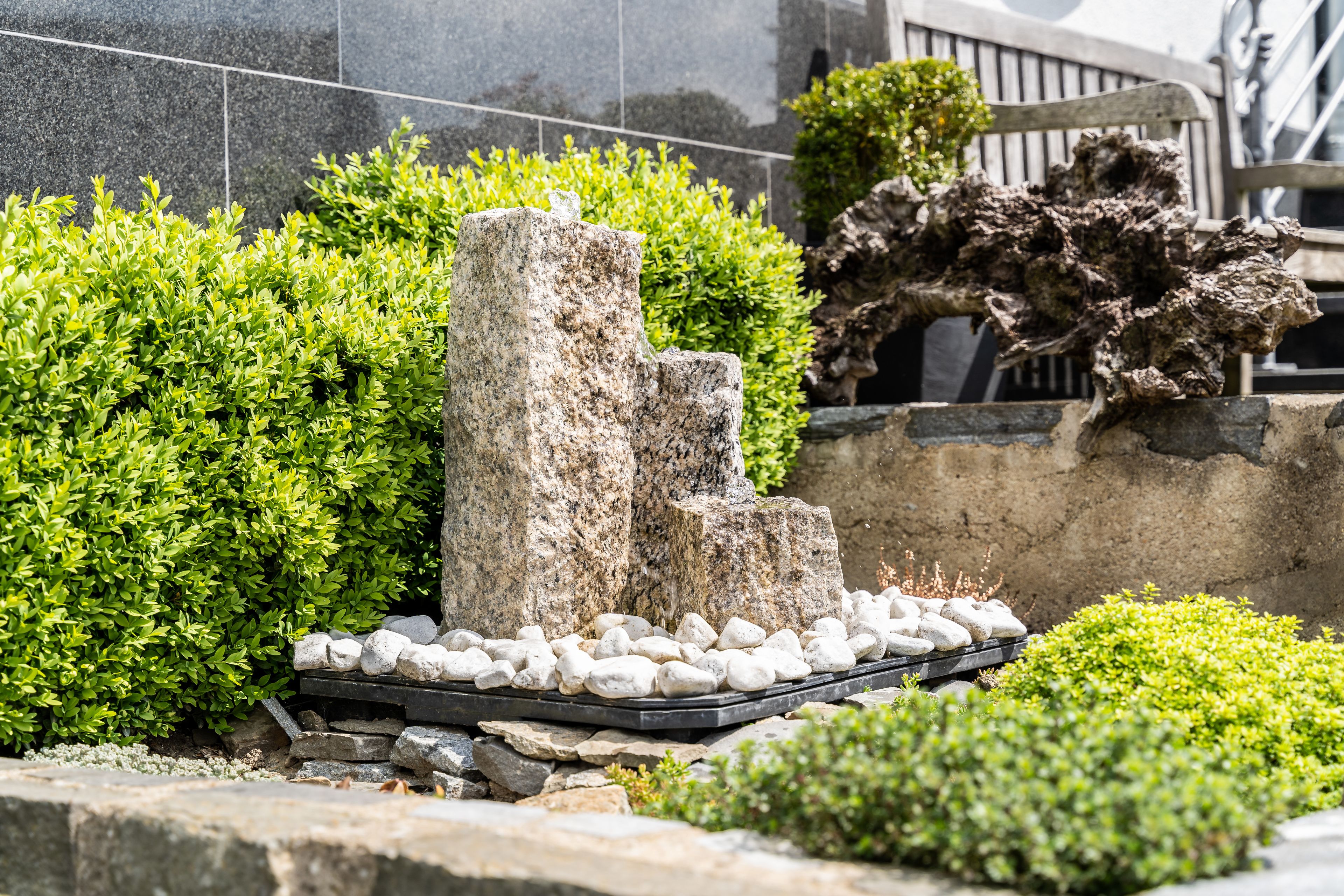 Entrada (vista interna)